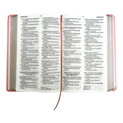 Biblia Reina Valera 1960 | Tamaño manual | Letra grande 12 pts | Imitación piel rosa claro | Colección clásica