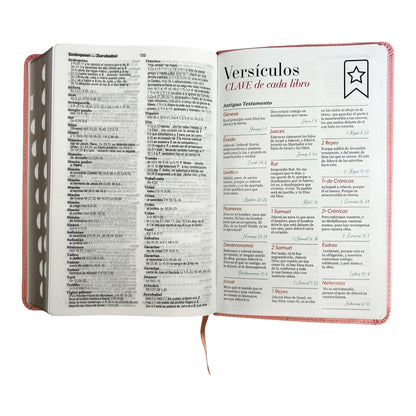 Biblia Reina Valera 1960 | Tamaño manual | Letra grande 12 pts | Imitación piel rosa claro | Con índice | Colección clásica
