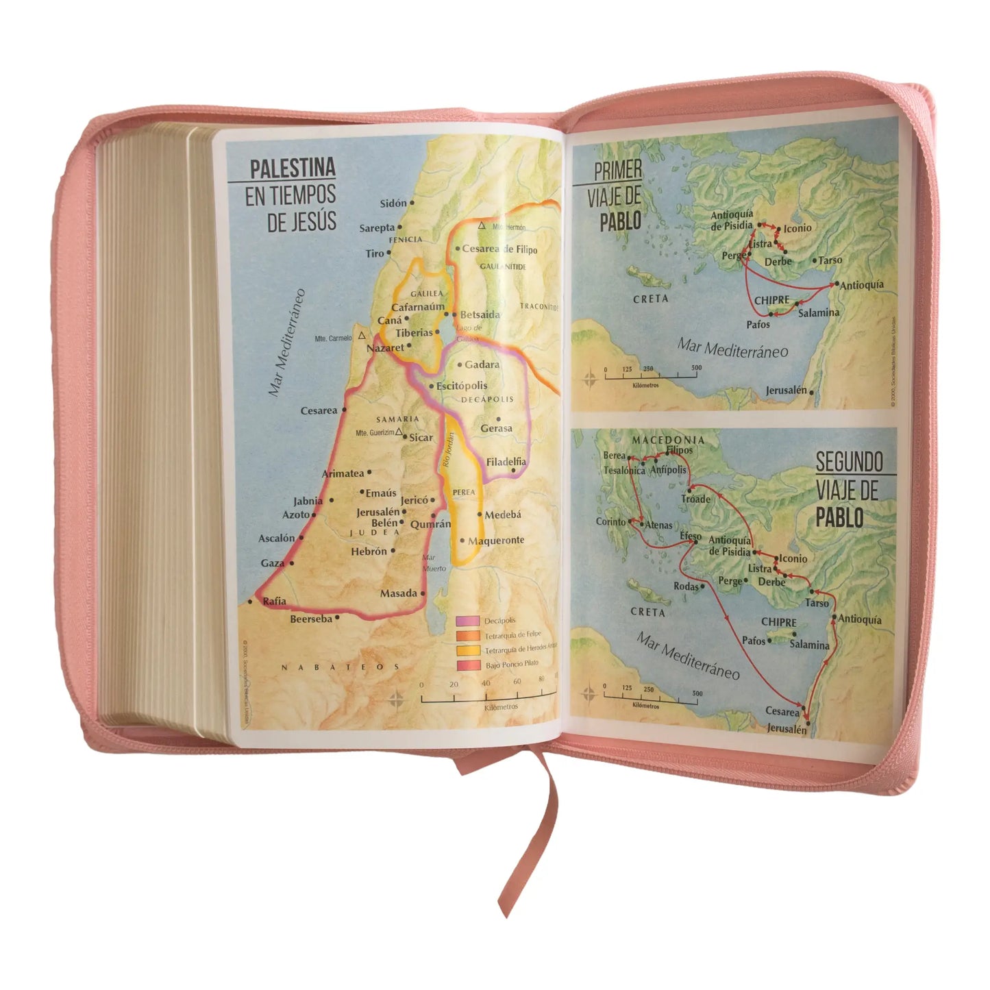 Biblia Reina Valera 1960 | Letra grande 12 pts | Tamaño manual | Imitación piel rosa claro | Con cierre