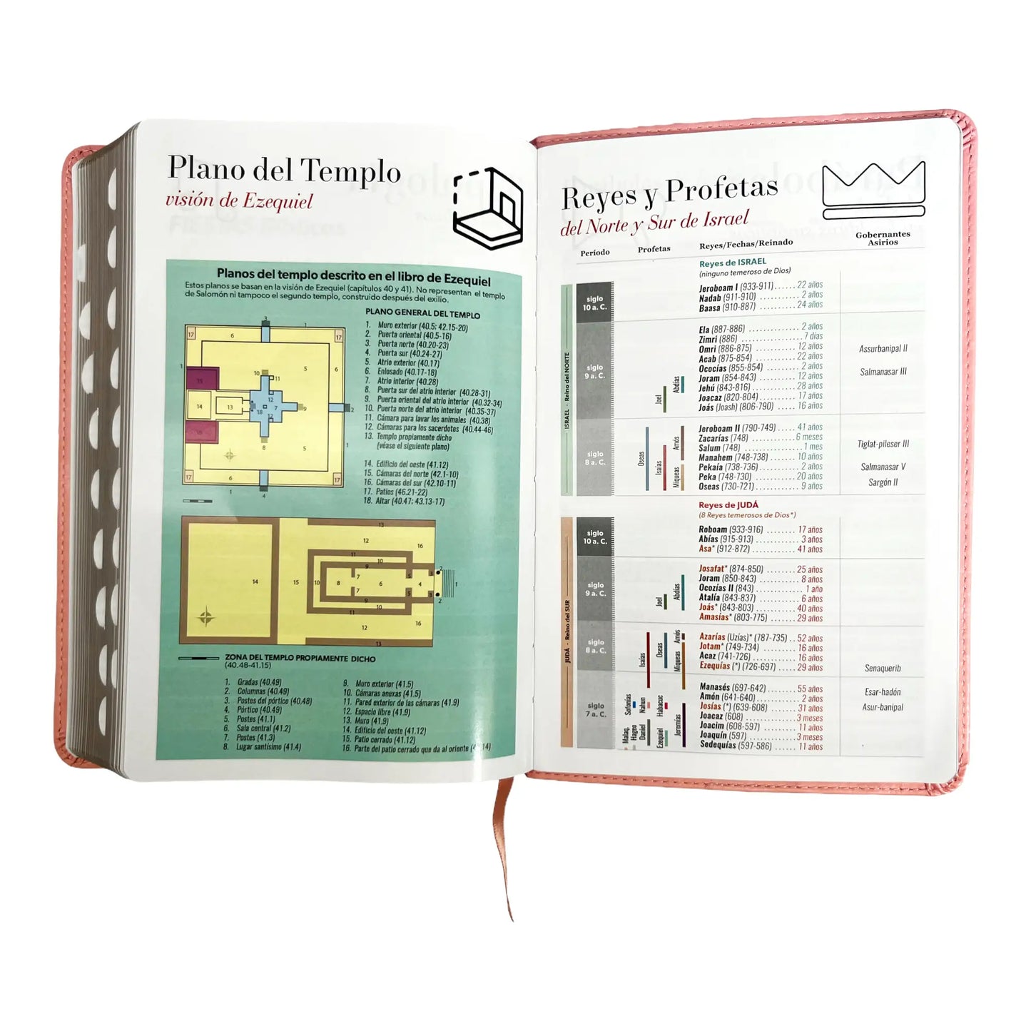 Biblia Reina Valera 1960 | Tamaño manual | Letra grande 12 pts | Imitación piel rosa claro | Con índice | Colección clásica