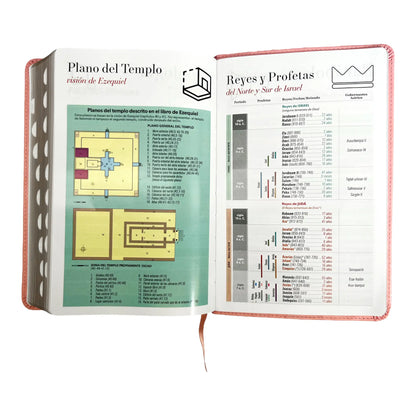 Biblia Reina Valera 1960 | Tamaño manual | Letra grande 12 pts | Imitación piel rosa claro | Con índice | Colección clásica