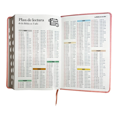 Biblia Reina Valera 1960 | Tamaño manual | Letra grande 12 pts | Imitación piel rosa claro | Con índice | Colección clásica