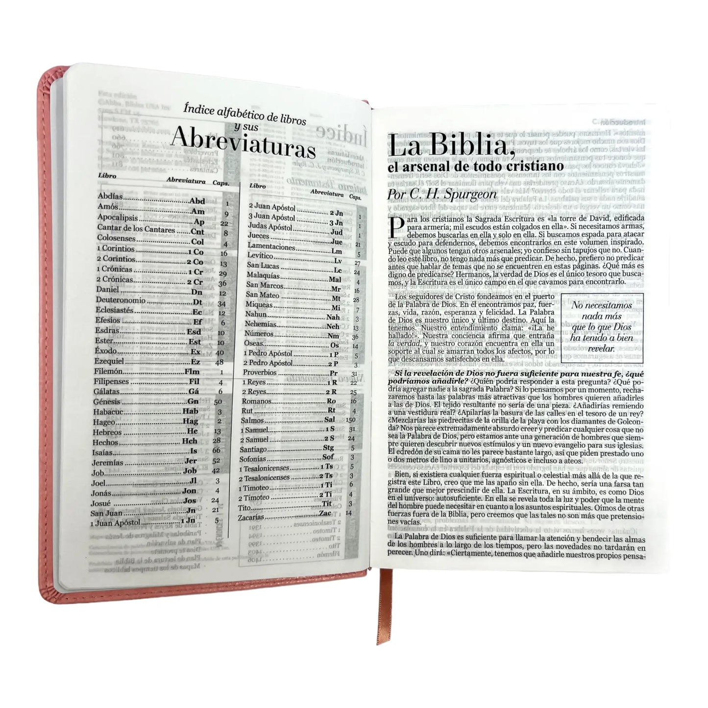 Biblia Reina Valera 1960 | Tamaño manual | Letra grande 12 pts | Imitación piel rosa claro | Colección clásica