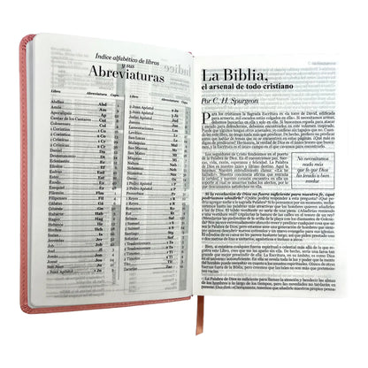 Biblia Reina Valera 1960 | Tamaño manual | Letra grande 12 pts | Imitación piel rosa claro | Colección clásica