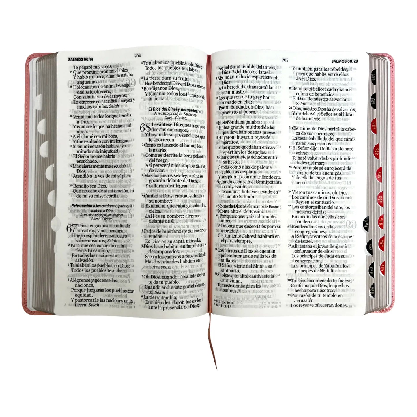 Biblia Reina Valera 1960 | Tamaño manual | Letra grande 12 pts | Imitación piel rosa claro | Con índice | Colección clásica