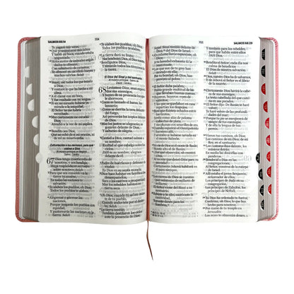 Biblia Reina Valera 1960 | Tamaño manual | Letra grande 12 pts | Imitación piel rosa claro | Con índice | Colección clásica