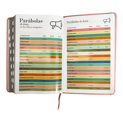 Biblia Reina Valera 1960 | Tamaño manual | Letra grande 12 pts | Imitación piel rosa claro | Con índice | Colección clásica