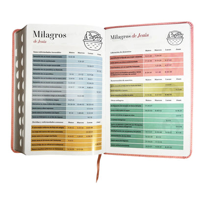 Biblia Reina Valera 1960 | Tamaño manual | Letra grande 12 pts | Imitación piel rosa claro | Con índice | Colección clásica