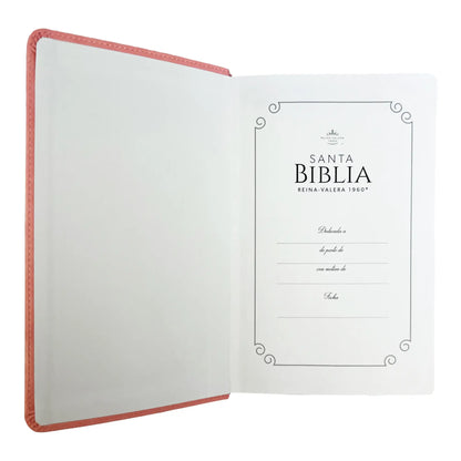 Biblia Reina Valera 1960 | Tamaño manual | Letra grande 12 pts | Imitación piel rosa claro | Con índice | Colección clásica