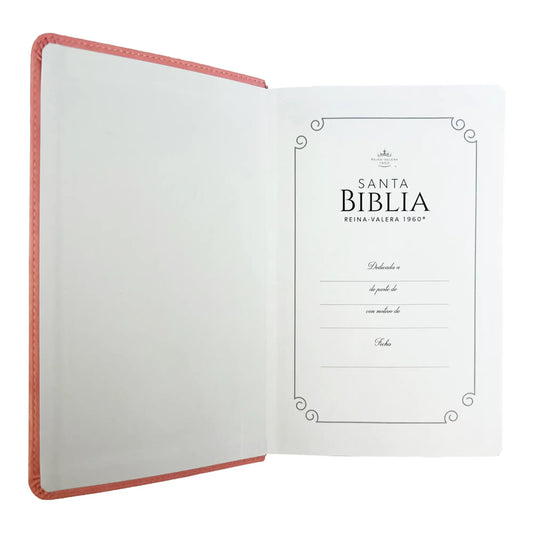 Biblia Reina Valera 1960 | Tamaño manual | Letra grande 12 pts | Imitación piel rosa claro | Con índice | Colección clásica