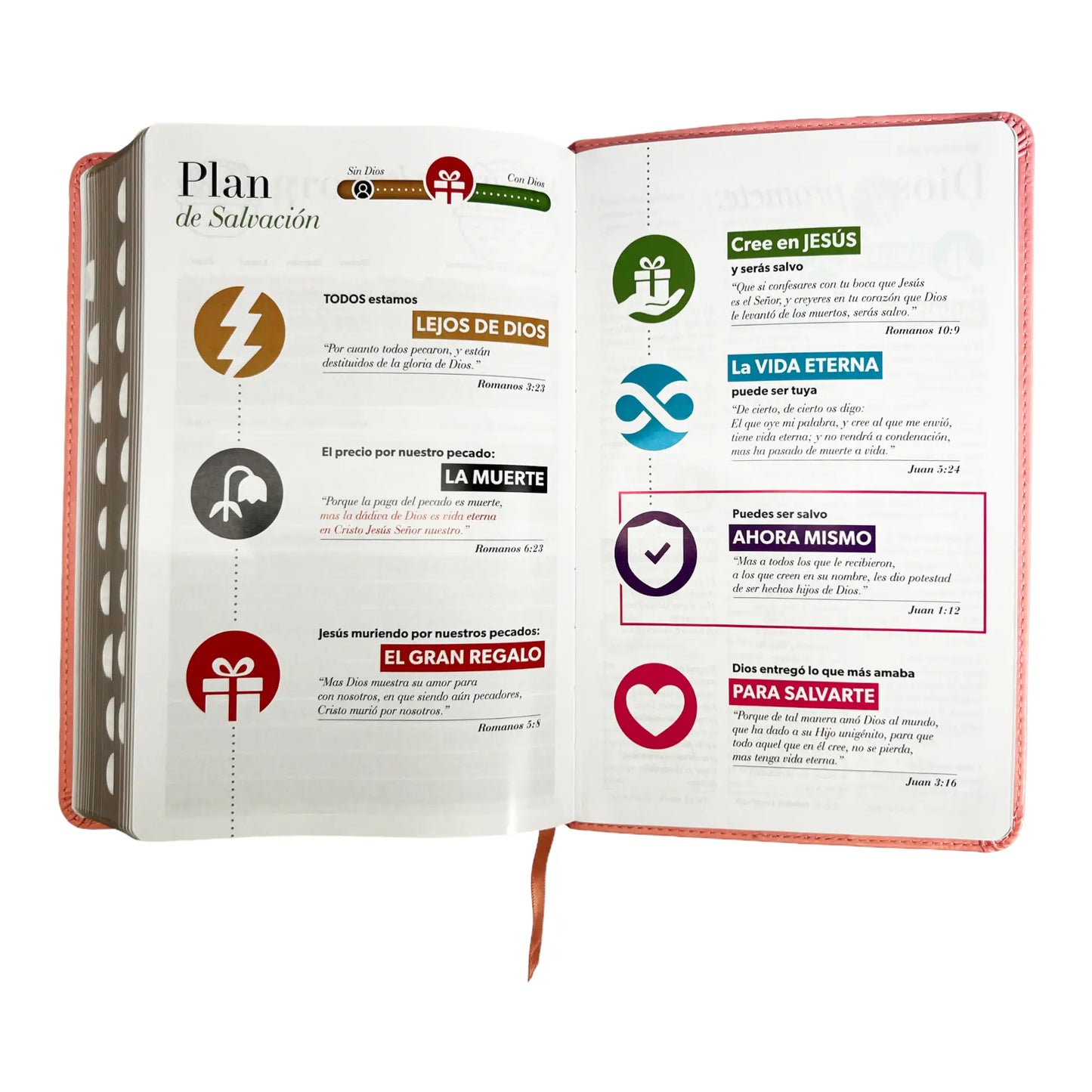 Biblia Reina Valera 1960 | Tamaño manual | Letra grande 12 pts | Imitación piel rosa claro | Con índice | Colección clásica