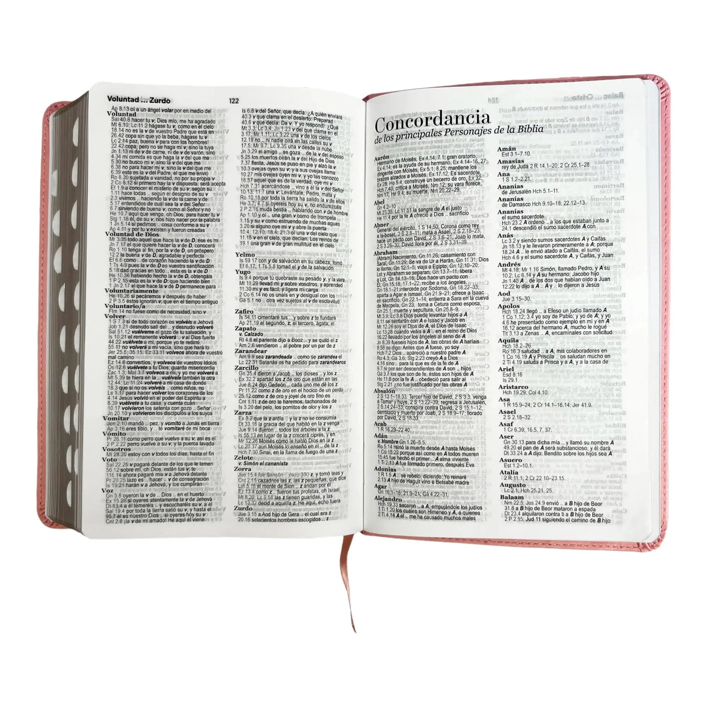 Biblia Reina Valera 1960 | Tamaño manual | Letra grande 12 pts | Imitación piel rosa claro | Con índice | Colección clásica