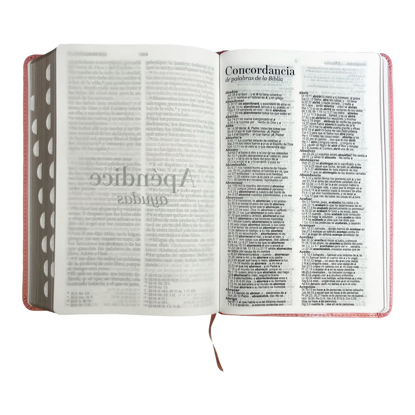 Biblia Reina Valera 1960 | Tamaño manual | Letra grande 12 pts | Imitación piel rosa claro | Con índice | Colección clásica