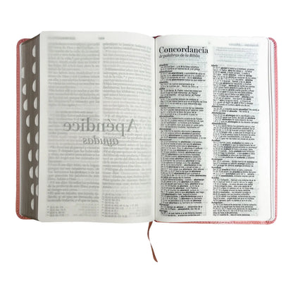 Biblia Reina Valera 1960 | Tamaño manual | Letra grande 12 pts | Imitación piel rosa claro | Con índice | Colección clásica