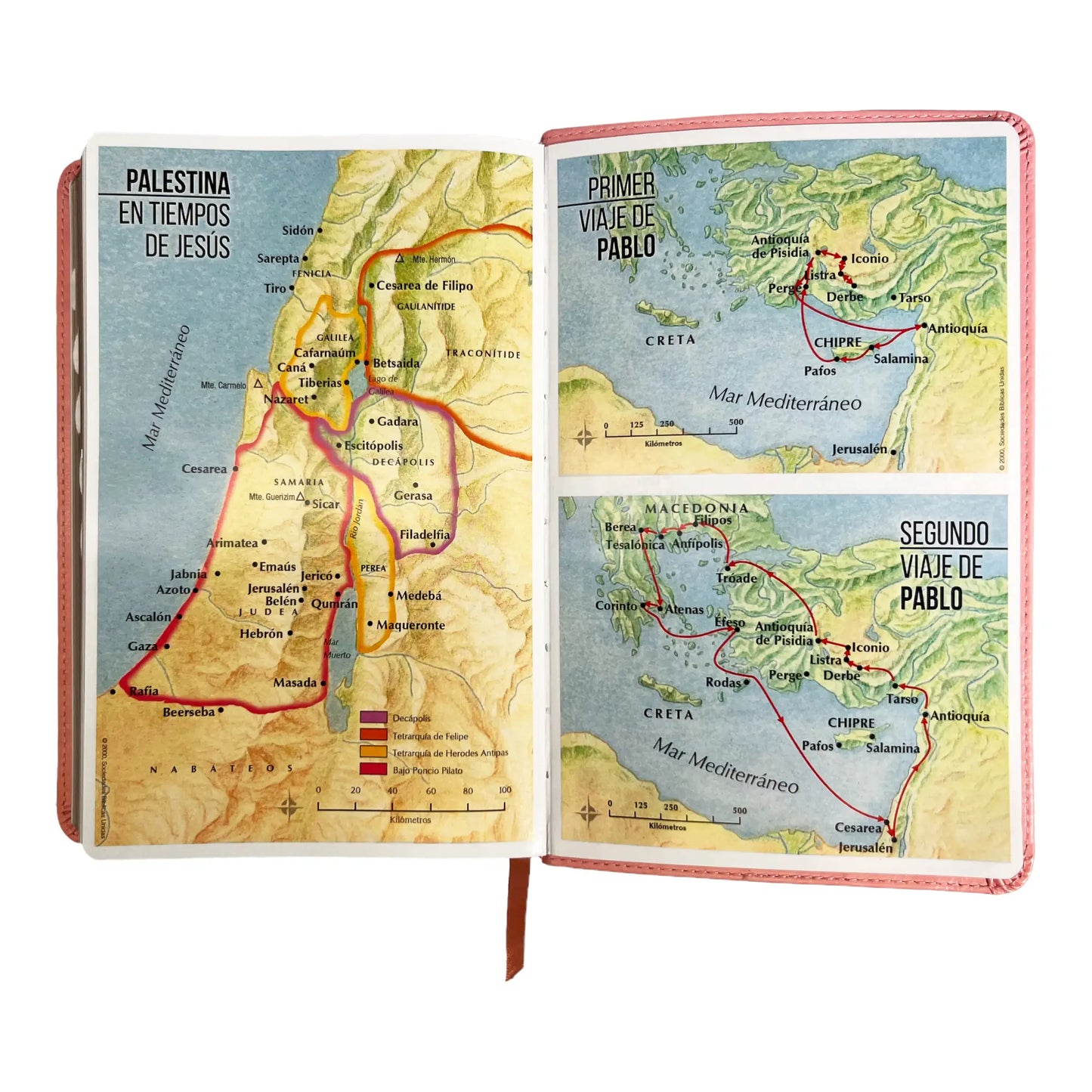 Biblia Reina Valera 1960 | Tamaño manual | Letra grande 12 pts | Imitación piel rosa claro | Con índice | Colección clásica