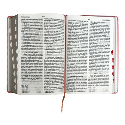 Biblia Reina Valera 1960 | Tamaño manual | Letra grande 12 pts | Imitación piel rosa claro | Con índice | Colección clásica