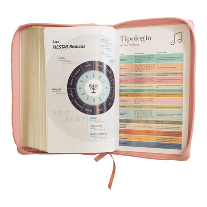 Biblia Reina Valera 1960 | Letra grande 12 pts | Tamaño manual | Imitación piel rosa claro | Con cierre