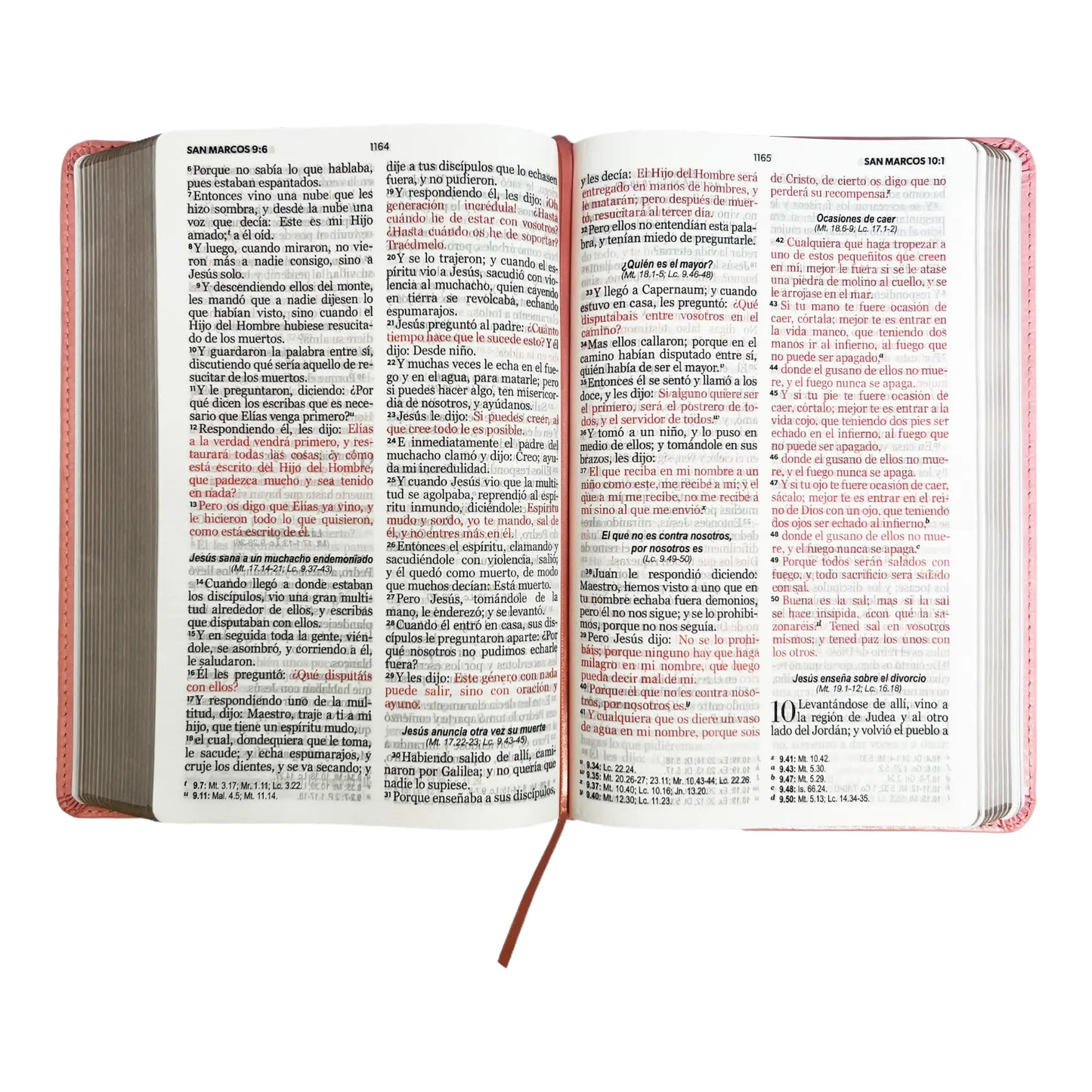 Biblia Reina Valera 1960 | Tamaño manual | Letra grande 12 pts | Imitación piel rosa claro | Colección clásica