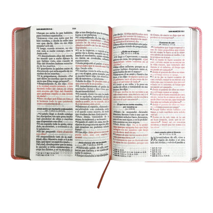 Biblia Reina Valera 1960 | Tamaño manual | Letra grande 12 pts | Imitación piel rosa claro | Colección clásica