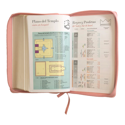 Biblia Reina Valera 1960 | Letra grande 12 pts | Tamaño manual | Imitación piel rosa claro | Con cierre