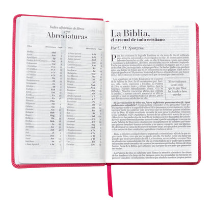 Biblia Reina Valera 1960 | Tamaño manual | Letra grande 12 pts | Imitación piel rosa oscuro con índice | Colección clásica