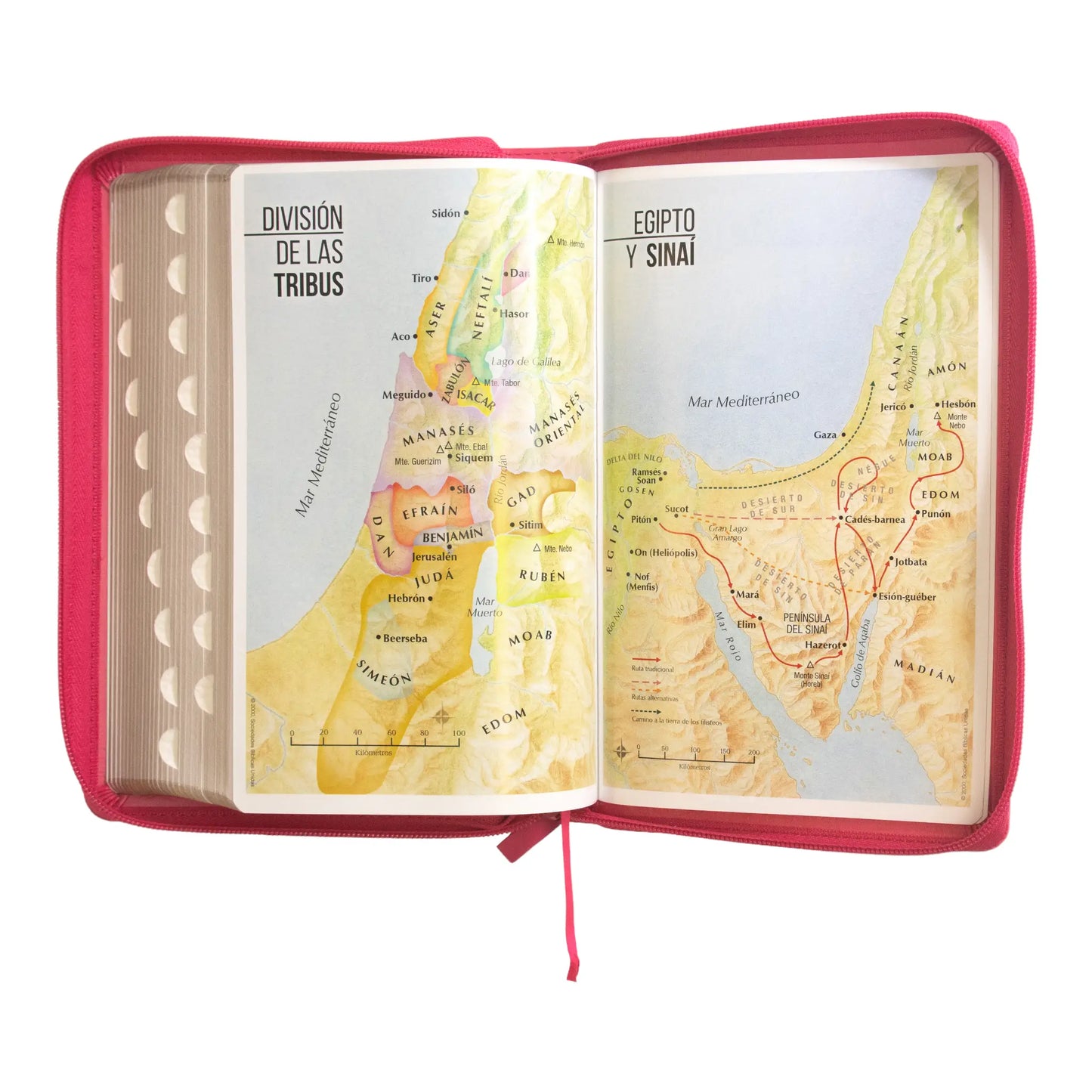 Biblia Reina Valera 1960 | Letra grande 12 pts | Tamaño manual | Imitación piel con índice y cierre | Canto dorado