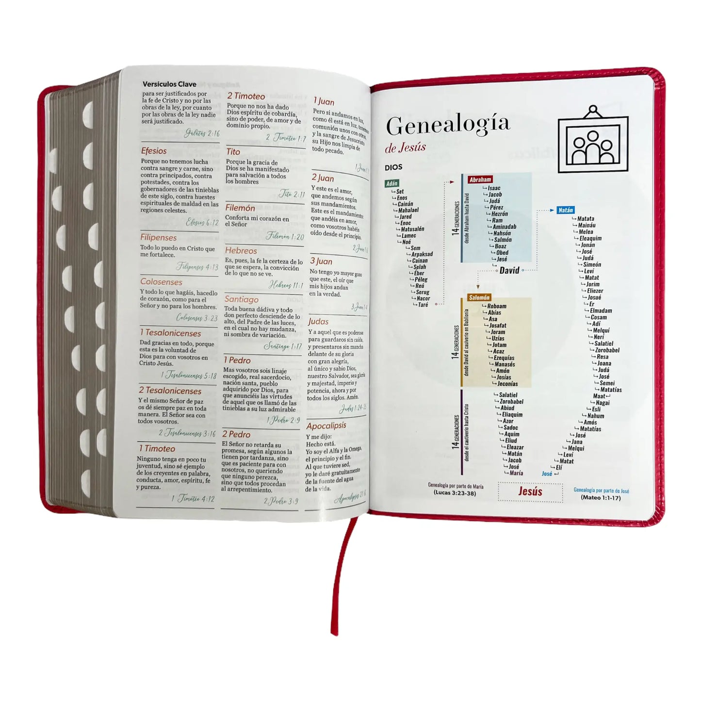 Biblia Reina Valera 1960 | Tamaño manual | Letra grande 12 pts | Imitación piel rosa oscuro | Colección clásica