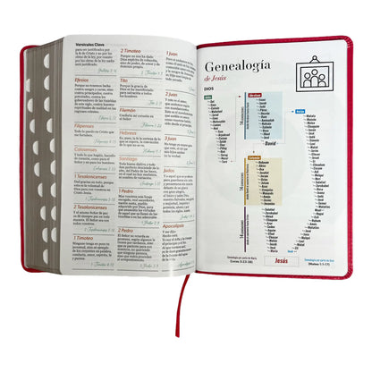 Biblia Reina Valera 1960 | Tamaño manual | Letra grande 12 pts | Imitación piel rosa oscuro | Colección clásica