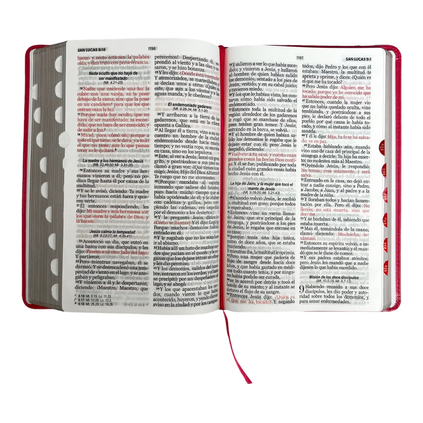 Biblia Reina Valera 1960 | Tamaño manual | Letra grande 12 pts | Imitación piel rosa oscuro | Colección clásica