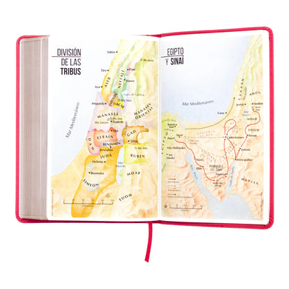 Biblia Reina Valera 1960 | Tamaño manual | Letra grande 12 pts | Imitación piel rosa oscuro con índice | Colección clásica