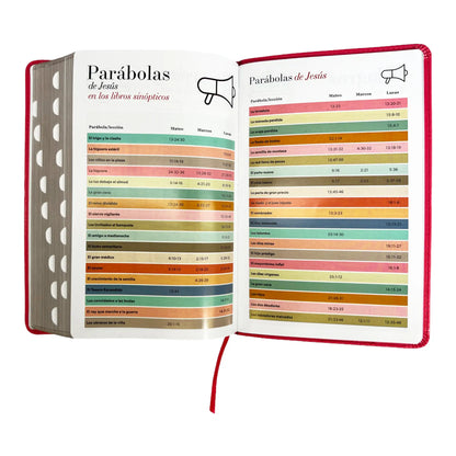 Biblia Reina Valera 1960 | Tamaño manual | Letra grande 12 pts | Imitación piel rosa oscuro | Colección clásica