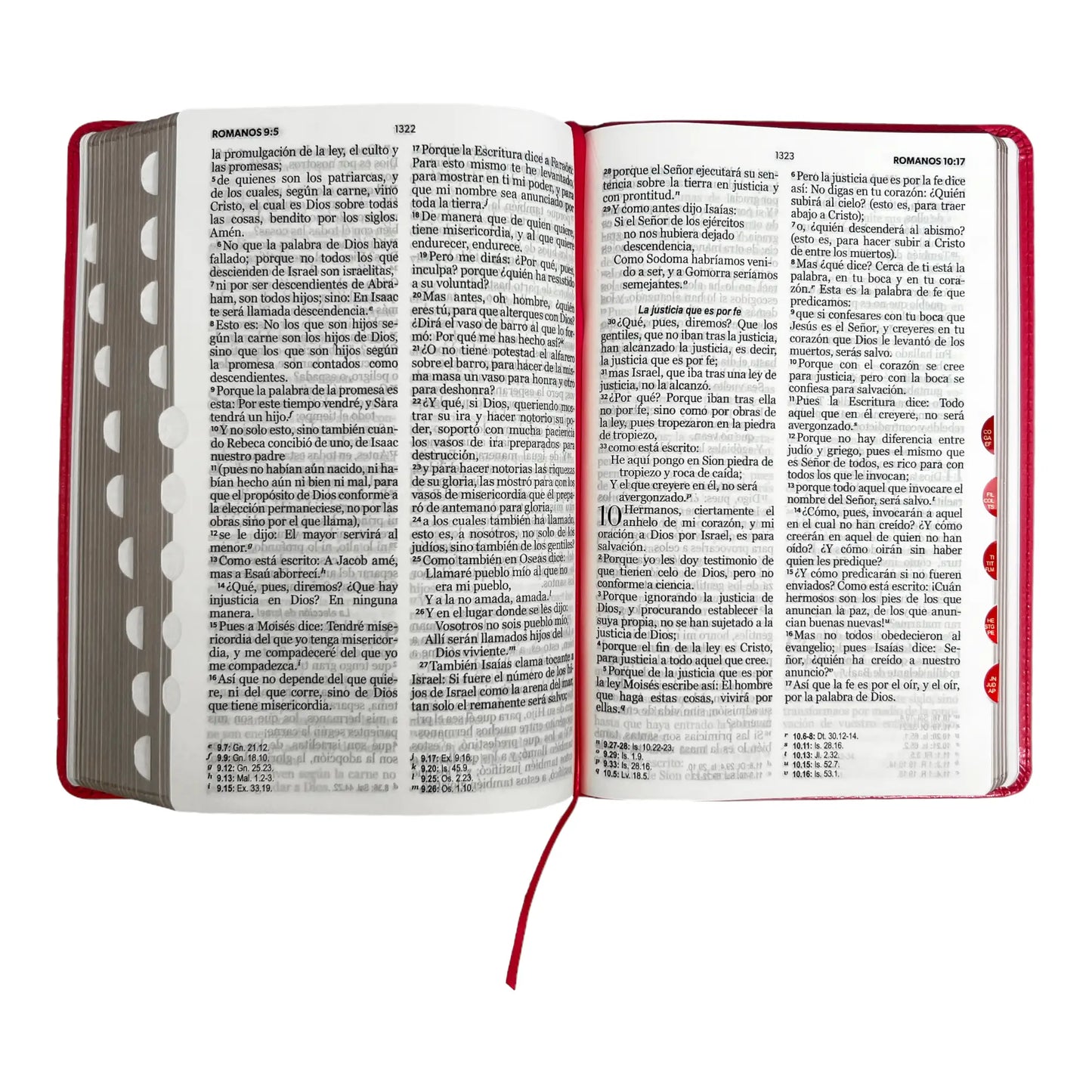 Biblia Reina Valera 1960 | Tamaño manual | Letra grande 12 pts | Imitación piel rosa oscuro | Colección clásica