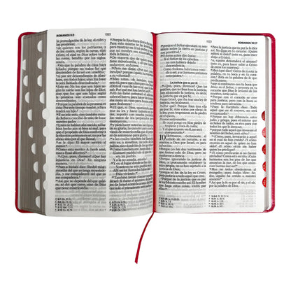 Biblia Reina Valera 1960 | Tamaño manual | Letra grande 12 pts | Imitación piel rosa oscuro | Colección clásica