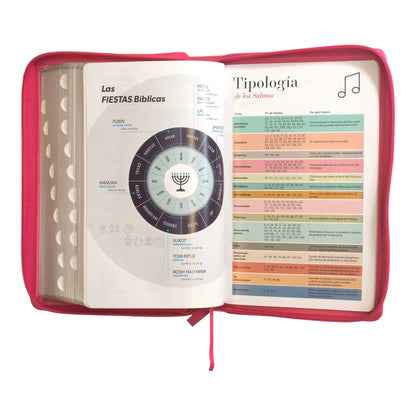 Biblia Reina Valera 1960 | Letra grande 12 pts | Tamaño manual | Imitación piel con índice y cierre | Canto dorado