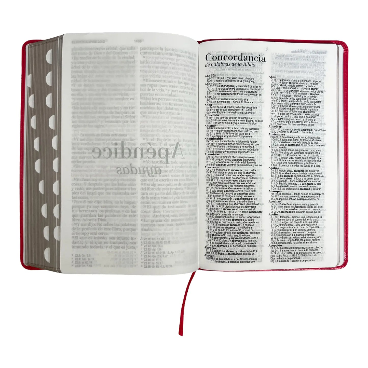 Biblia Reina Valera 1960 | Tamaño manual | Letra grande 12 pts | Imitación piel rosa oscuro | Colección clásica