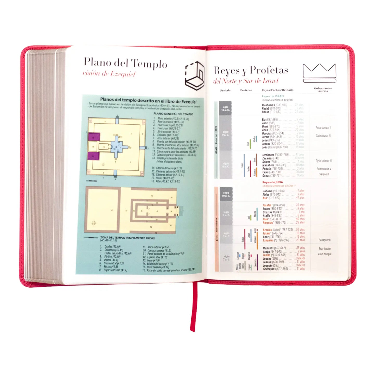 Biblia Reina Valera 1960 | Tamaño manual | Letra grande 12 pts | Imitación piel rosa oscuro con índice | Colección clásica