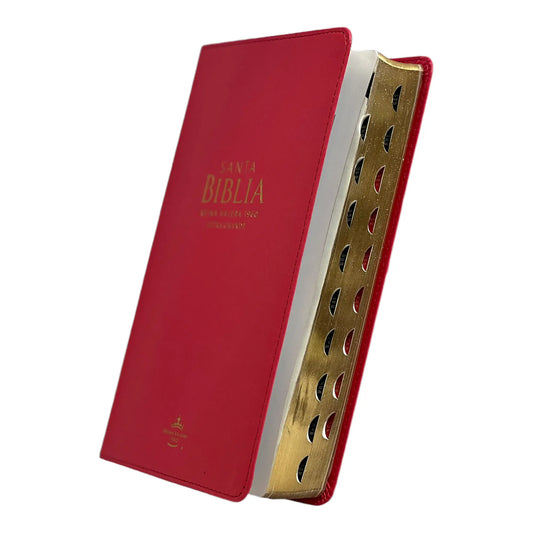 Biblia Reina Valera 1960 | Tamaño manual | Letra grande 12 pts | Imitación piel rosa oscuro | Colección clásica