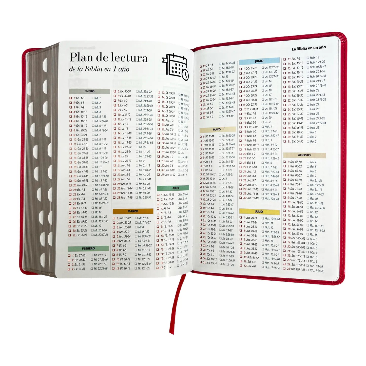 Biblia Reina Valera 1960 | Tamaño manual | Letra grande 12 pts | Imitación piel rosa oscuro | Colección clásica