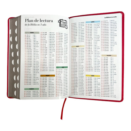 Biblia Reina Valera 1960 | Tamaño manual | Letra grande 12 pts | Imitación piel rosa oscuro | Colección clásica