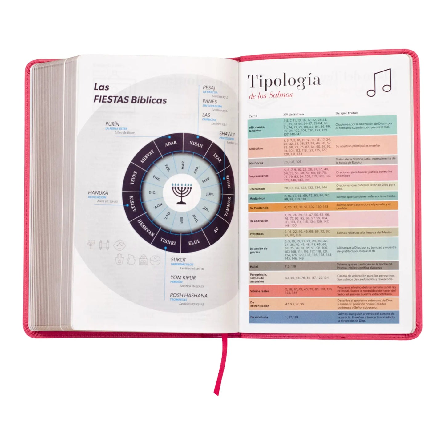 Biblia Reina Valera 1960 | Tamaño manual | Letra grande 12 pts | Imitación piel rosa oscuro con índice | Colección clásica