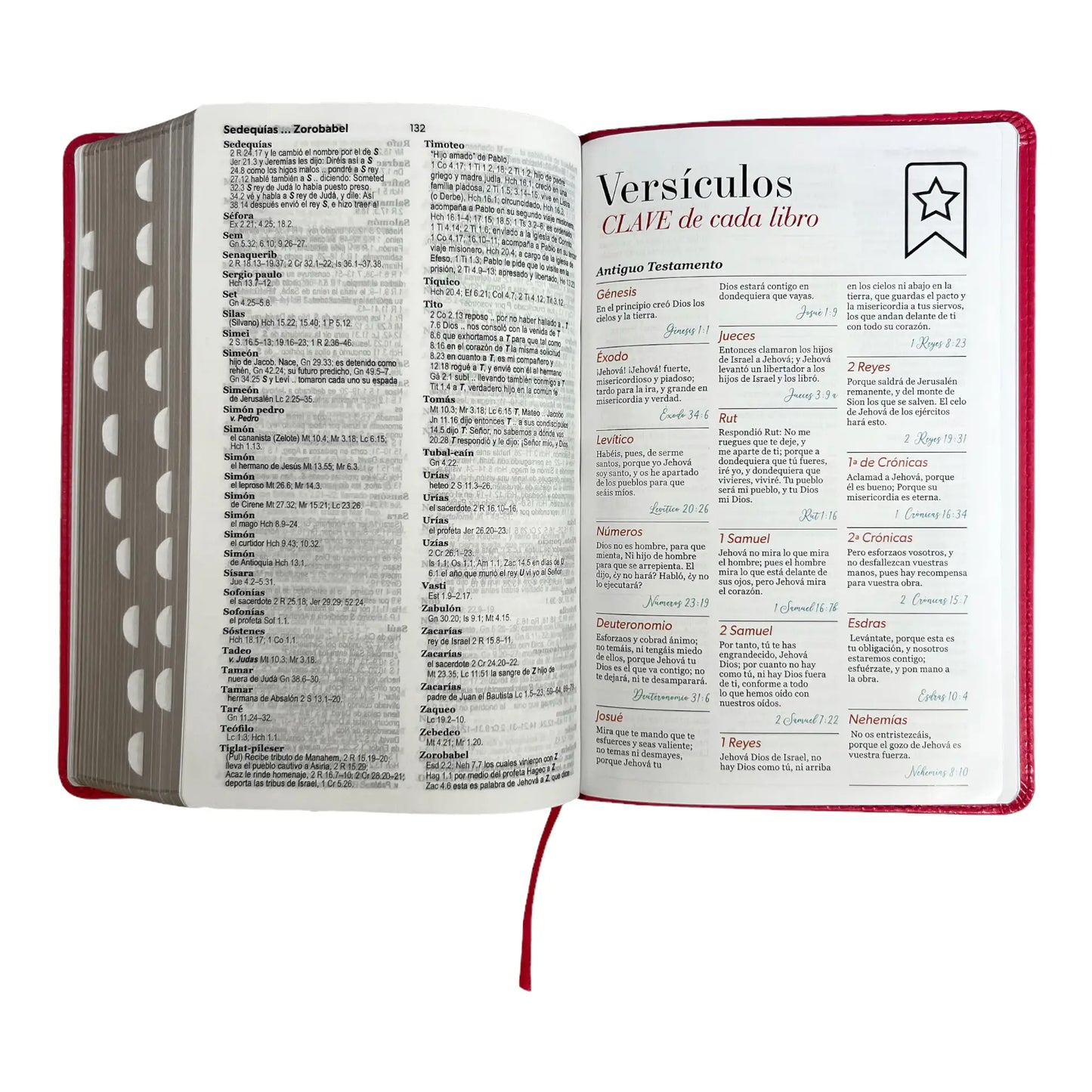 Biblia Reina Valera 1960 | Tamaño manual | Letra grande 12 pts | Imitación piel rosa oscuro | Colección clásica