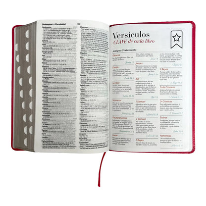 Biblia Reina Valera 1960 | Tamaño manual | Letra grande 12 pts | Imitación piel rosa oscuro | Colección clásica