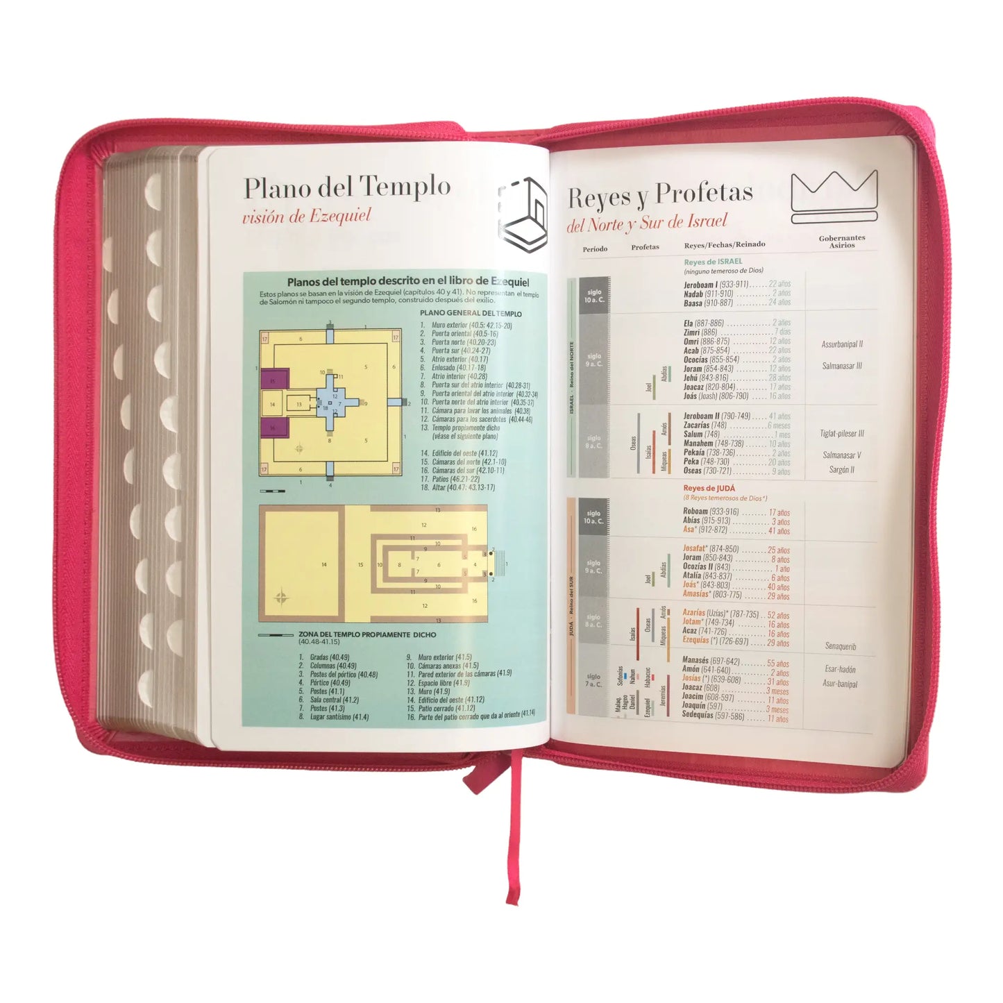 Biblia Reina Valera 1960 | Letra grande 12 pts | Tamaño manual | Imitación piel con índice y cierre | Canto dorado