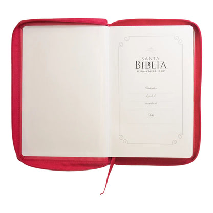 Biblia Reina Valera 1960 | Letra grande 12 pts | Tamaño manual | Imitación piel con índice y cierre | Canto dorado