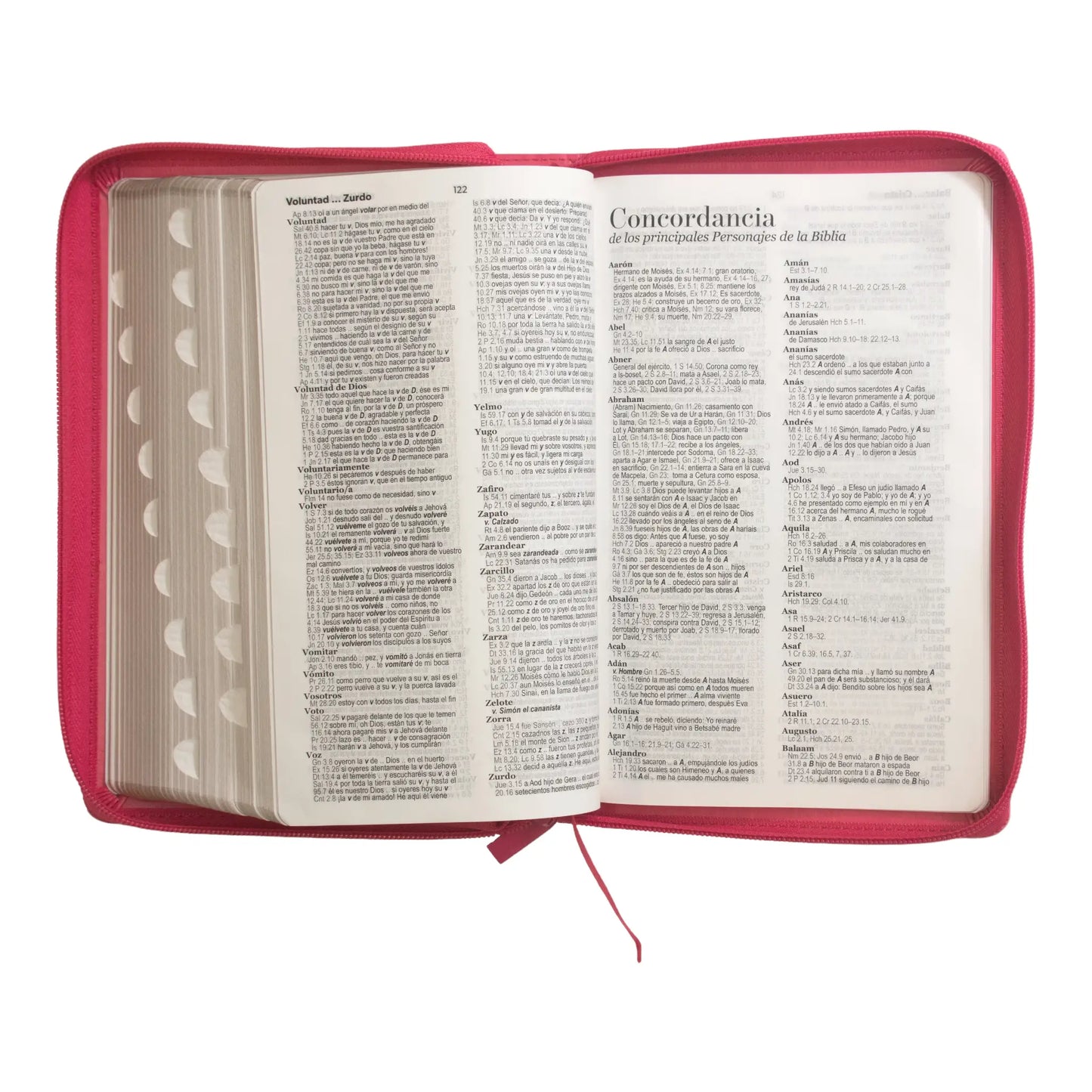 Biblia Reina Valera 1960 | Letra grande 12 pts | Tamaño manual | Imitación piel con índice y cierre | Canto dorado