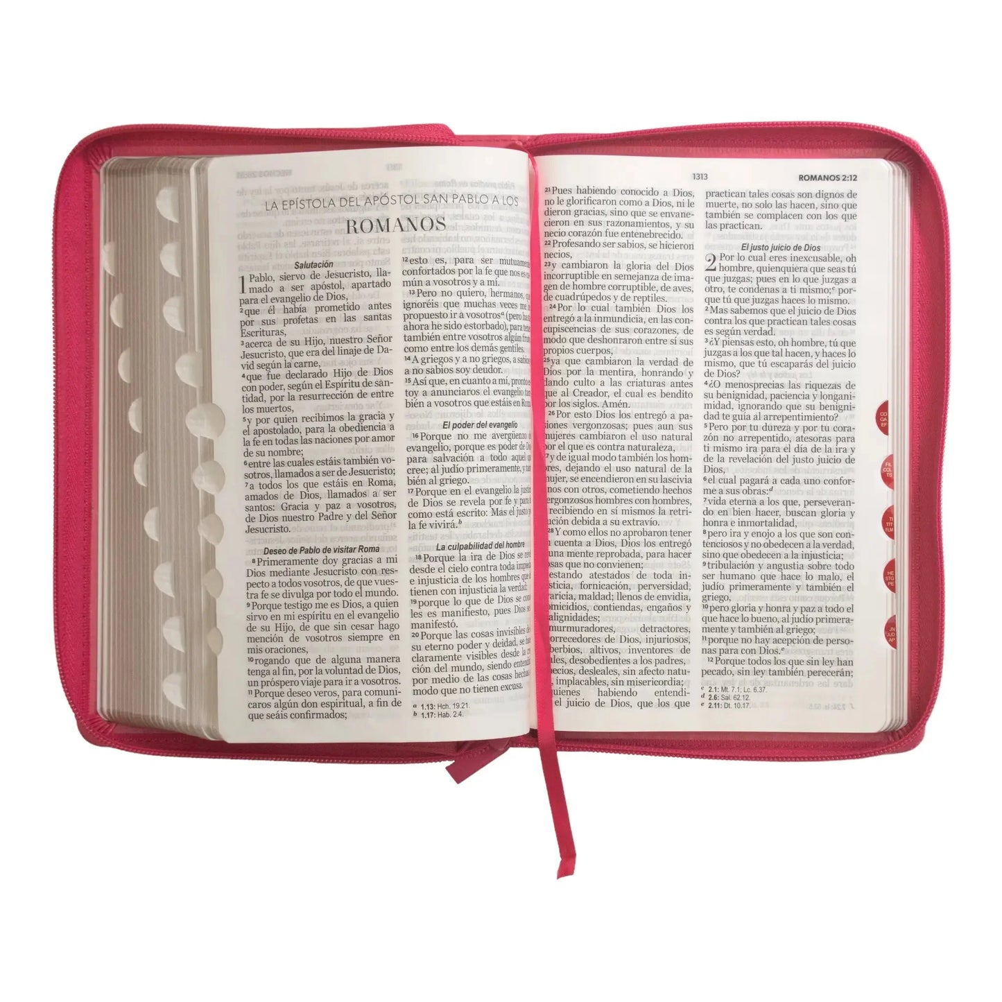 Biblia Reina Valera 1960 | Letra grande 12 pts | Tamaño manual | Imitación piel con índice y cierre | Canto dorado