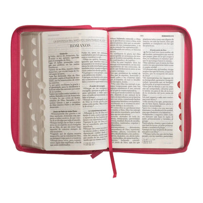 Biblia Reina Valera 1960 | Letra grande 12 pts | Tamaño manual | Imitación piel con índice y cierre | Canto dorado