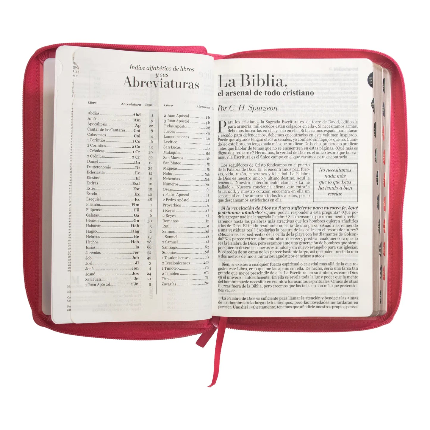 Biblia Reina Valera 1960 | Letra grande 12 pts | Tamaño manual | Imitación piel con índice y cierre | Canto dorado