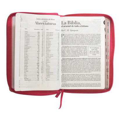 Biblia Reina Valera 1960 | Letra grande 12 pts | Tamaño manual | Imitación piel con índice y cierre | Canto dorado