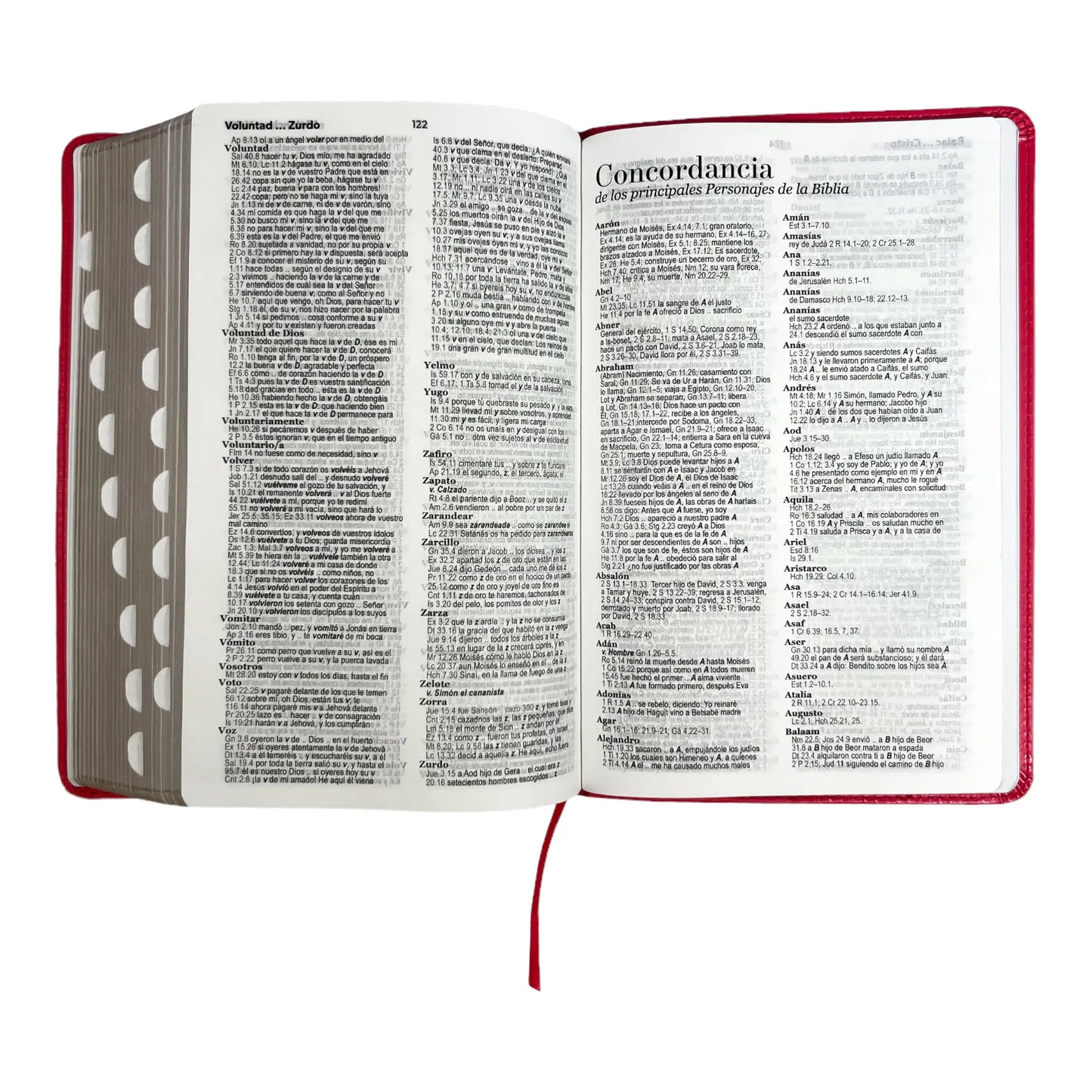 Biblia Reina Valera 1960 | Tamaño manual | Letra grande 12 pts | Imitación piel rosa oscuro | Colección clásica